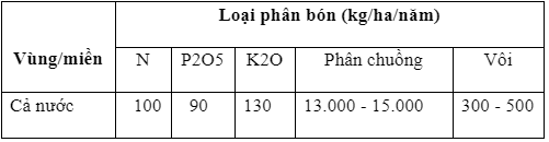 phân toi tây_1711334662.PNG